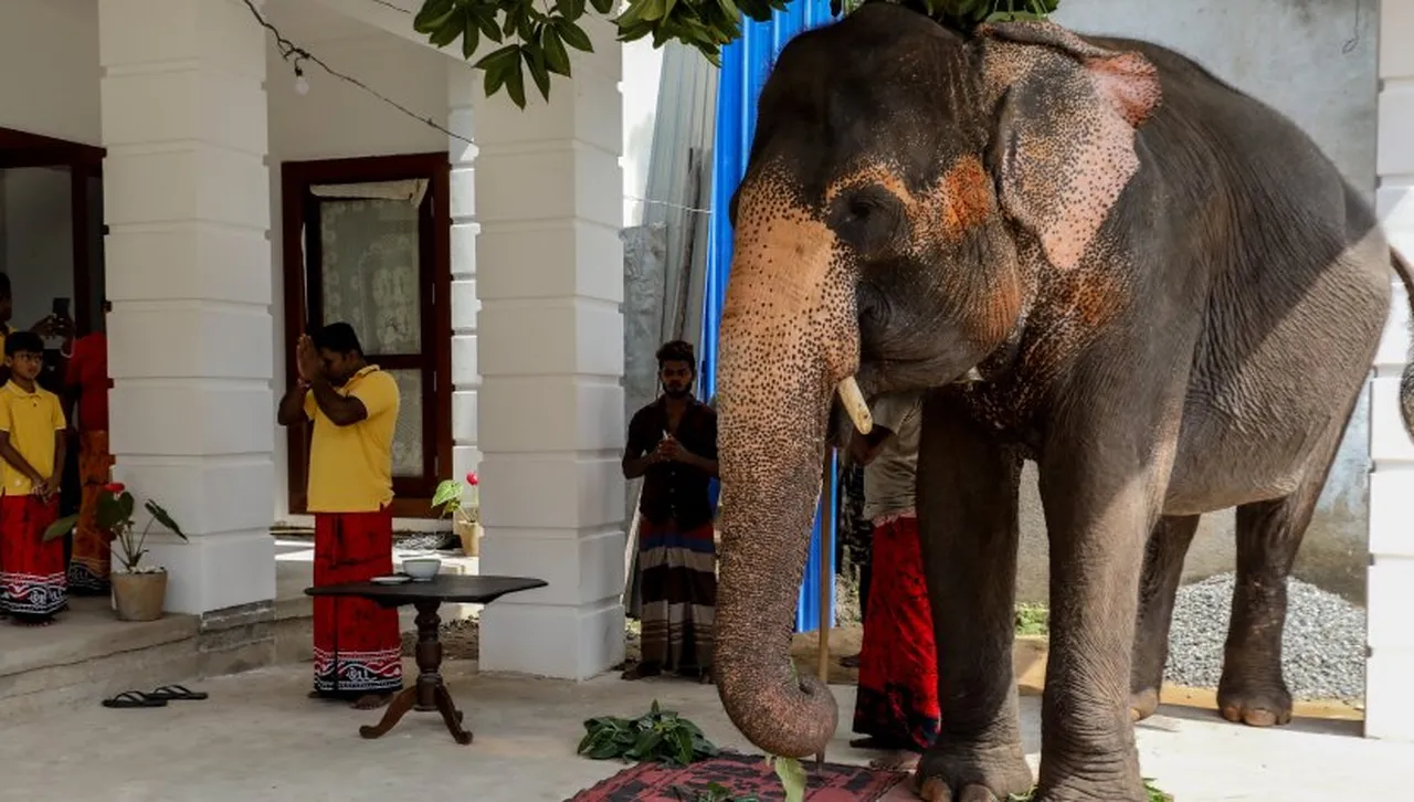 Нападенията се случват близо до гората Чайбаса Местните жители панически