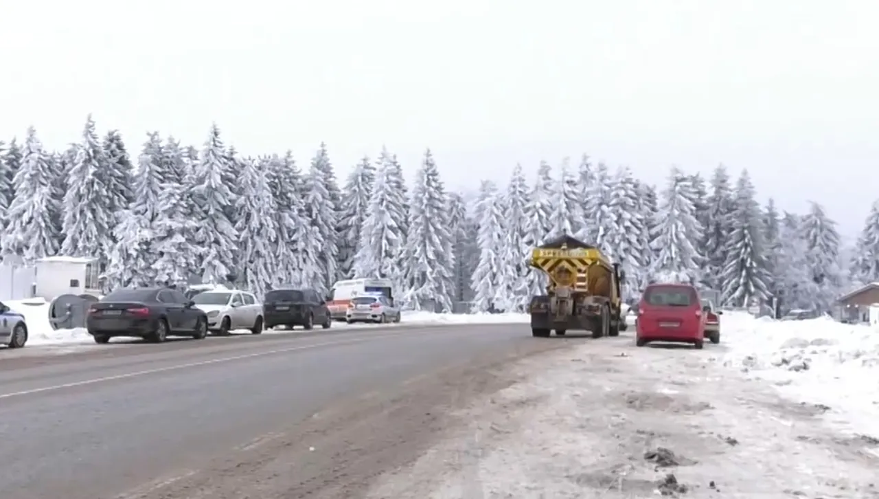 Експерт:  Случаят "Петрохан" е без аналог в българската история.  Ще се намерят най-малко още два трупа