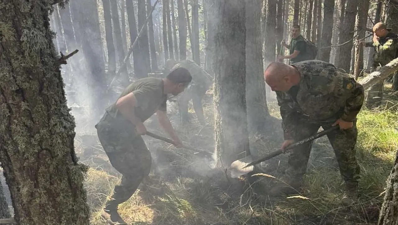 Трети ден огнеборци се борят с опустошителния пожар в НП "Рила"