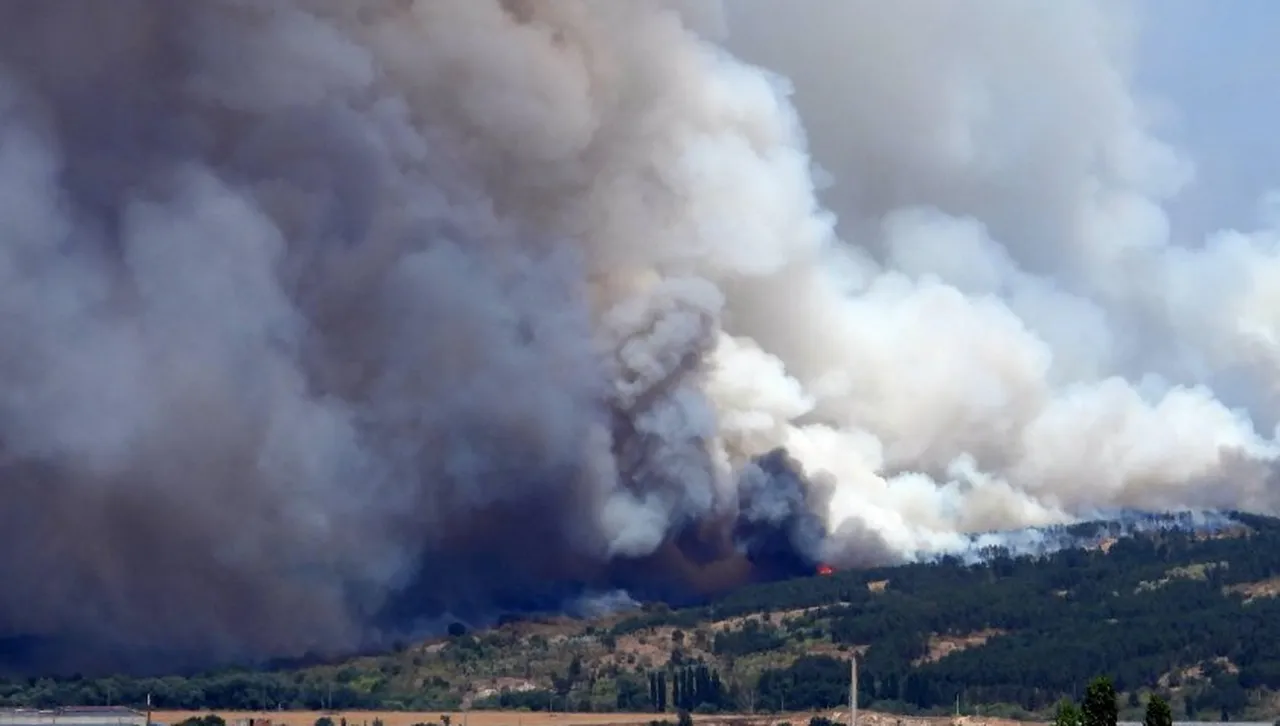 Пожарите през юли са над 3 пъти и половина повече спрямо юни