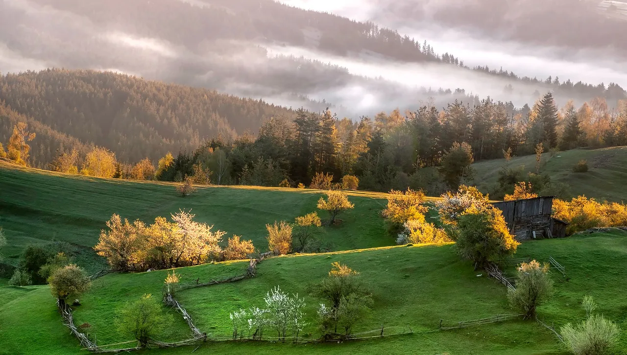 Лято през астрономическата зима? Очакват ни температури до 20°