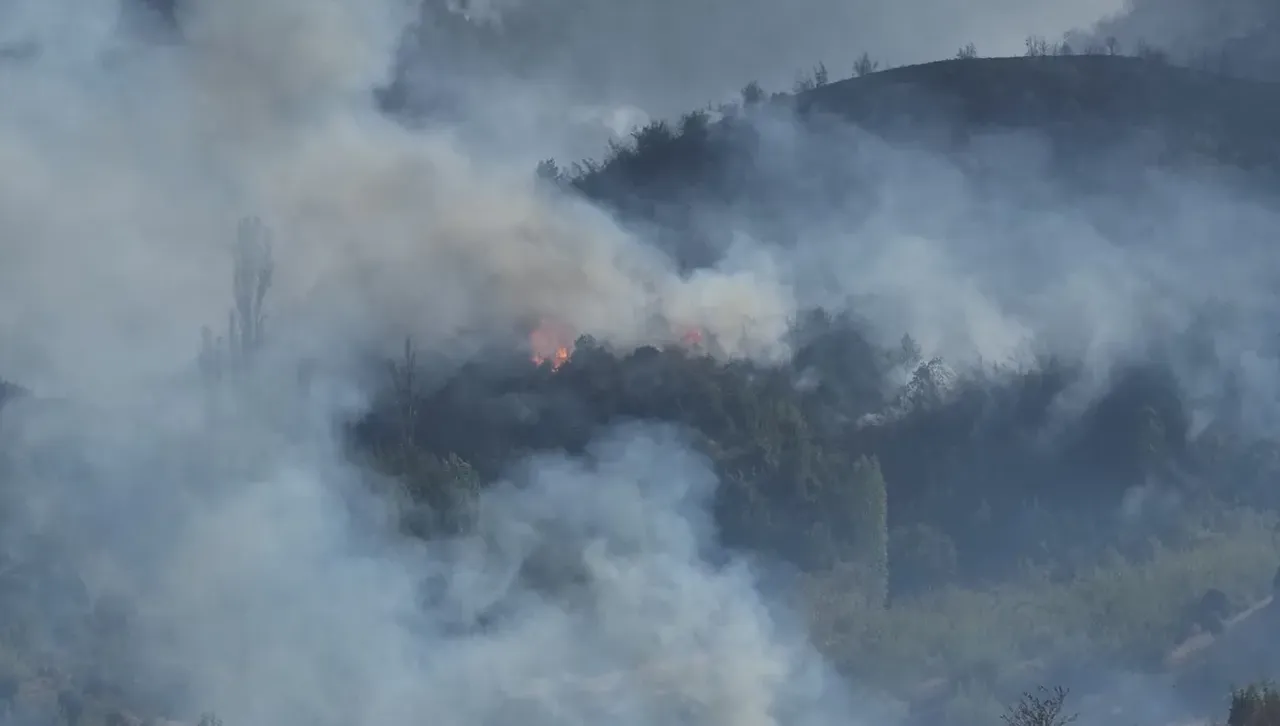 МВР свиква кризисен щаб заради пожарите, искаме 4 самолета от ЕС за стихията в Струмяни и Трънско