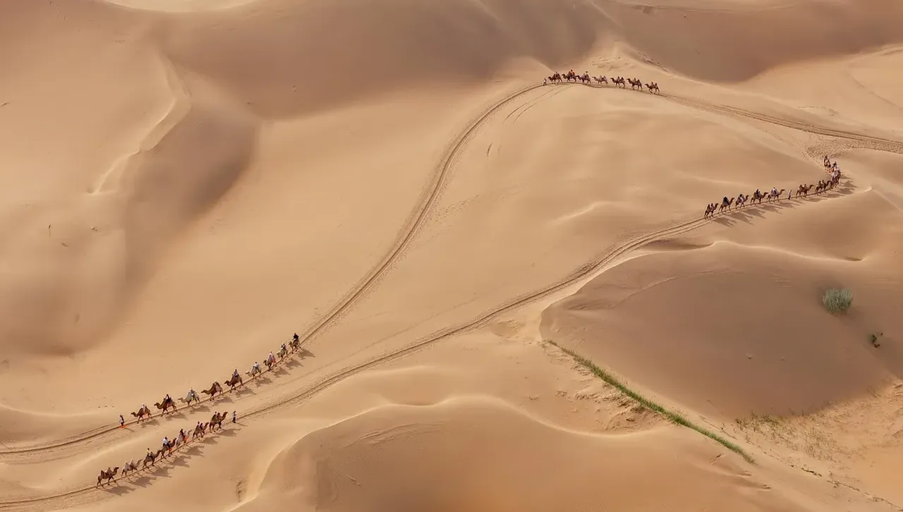 В пустините на Израел отлеждат еко риби за аквариума и трапезата