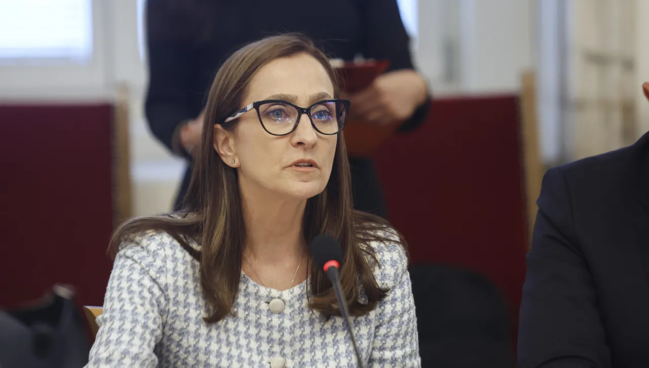 По думите ѝ намаляване на таксите за пренос на газ