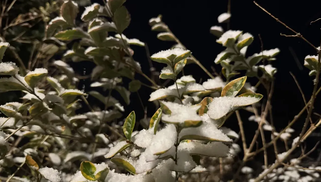 Значителни валежи над България, дъждът ще преминава в сняг