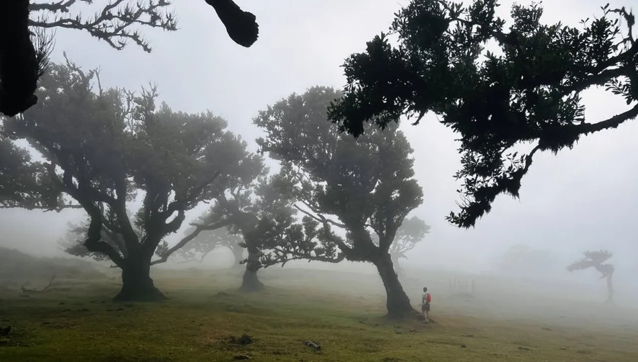 Портал към друг свят: Тайните на Хоя Бачу – Бермудският триъгълник на Румъния