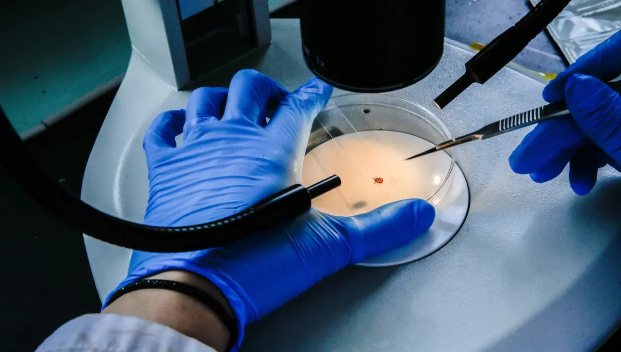 Американски изследователи: Високи дози витамин С убиват туморните клетки