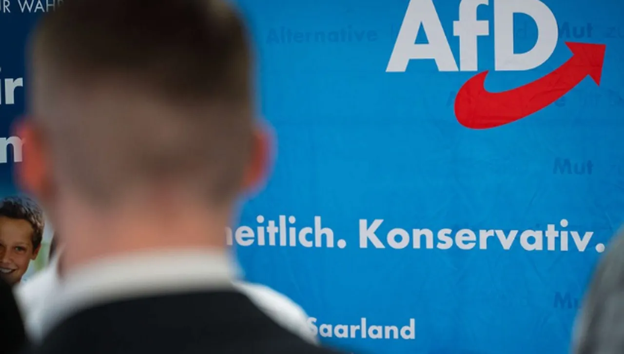 Политико: Възможно е Кремъл да получава секретна информация за ЕС от „Алтернатива за Германия“