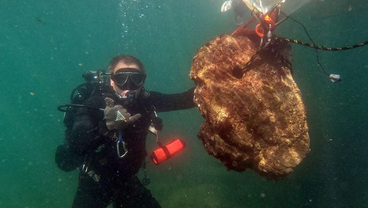 Световен успех: ЮНЕСКО призна приноса на България в подводната археология