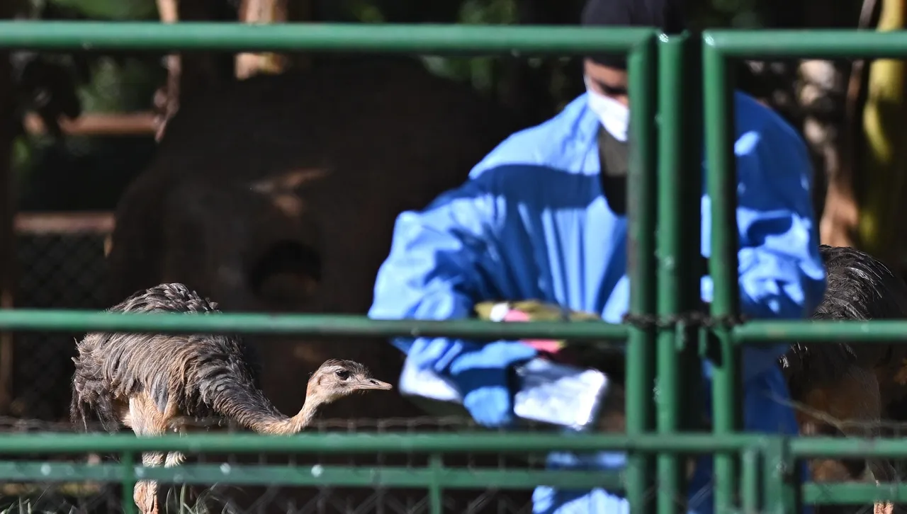 Учени: Птичият грип може да предизвика пандемия, по-опасна от COVID-19