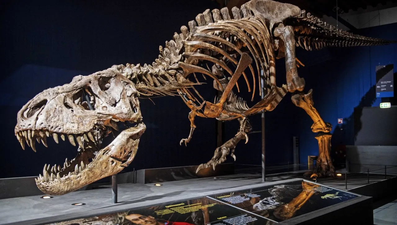 „Пънк рок” динозавър бродел в Мароко преди милиарди години