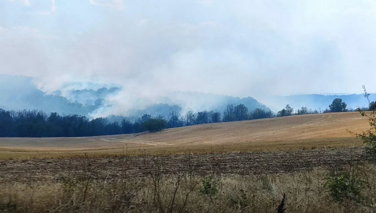 Обявиха частично бедствено положение заради разрастващ се пожар в Хасковско