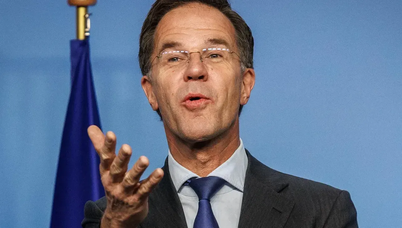 Рюте: Нито Европа, нито Северна Америка могат да се справят сами със сигурността