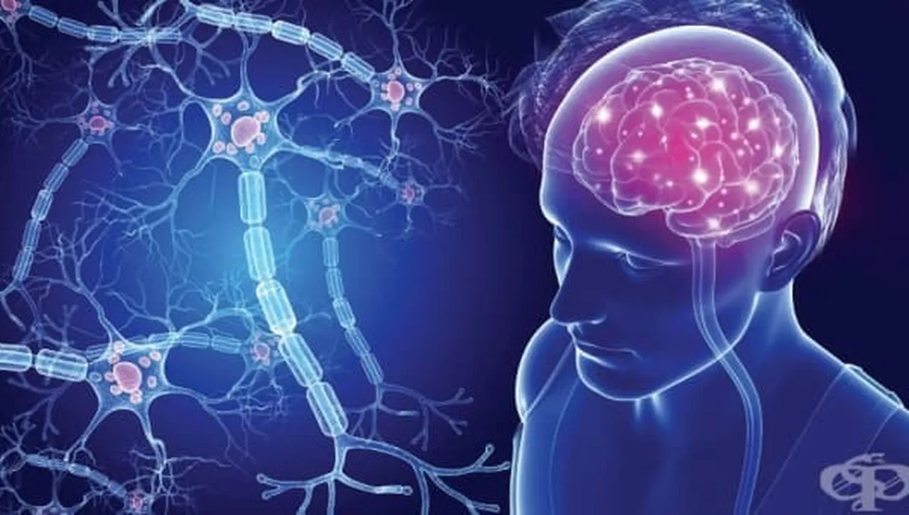 Пробив: Германски учени откриха връзка между множествената склероза и бактерии в червата