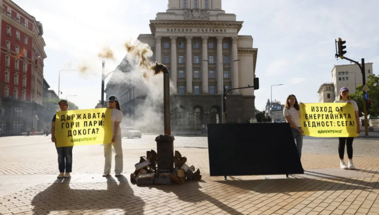 Грийнпийс с отворено писмо до премиера: слъчневи панели, а не печки на дърва 