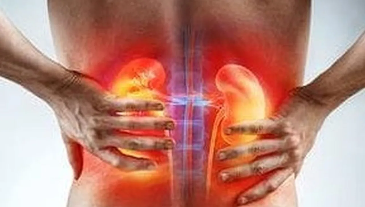 Лекари алармират: 80% от хората с болни бъбреци не подозират, че имат сериозен проблем