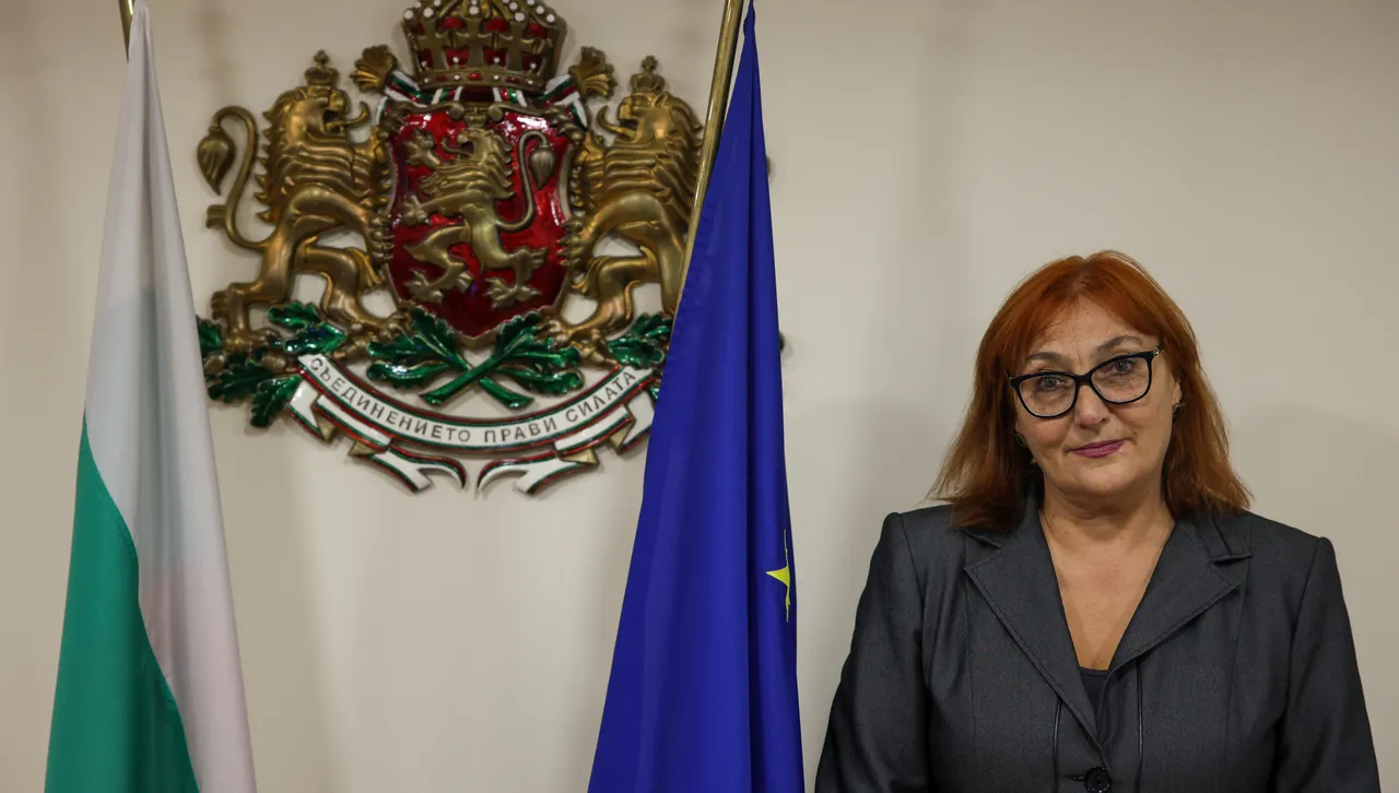 Олга Керелска, ВСС : Общите съдилища са подложени на кадрови геноцид