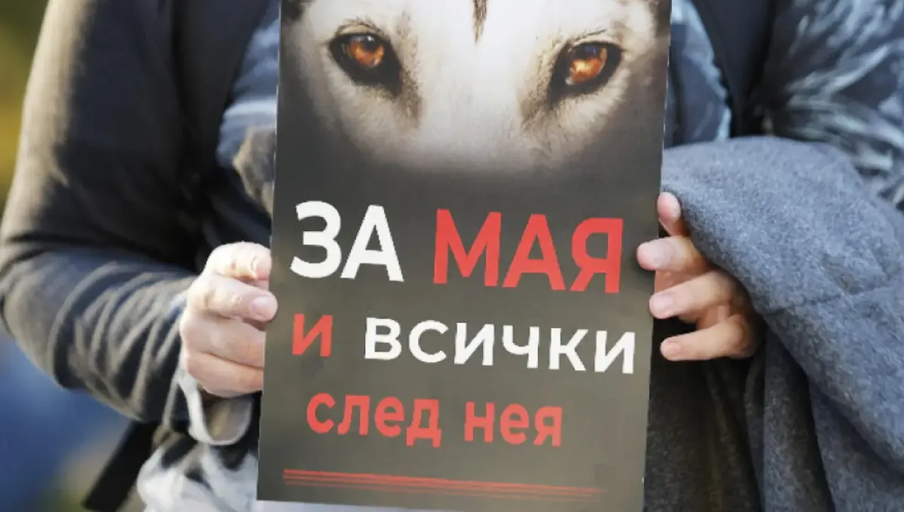 Случаят с прегазеното куче: Достатъчни ли са наказанията за насилниците над животни?