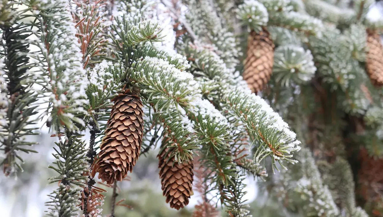 След обед над Югозападна и Централна България облачността ще се