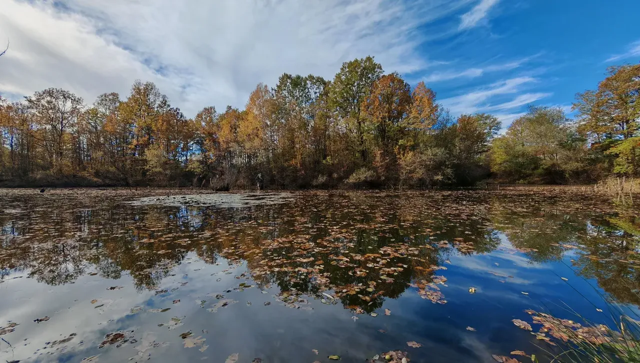 Отново ни радва слънчево време, сутрешни мъгли край Дунава, Тунджа и Марица