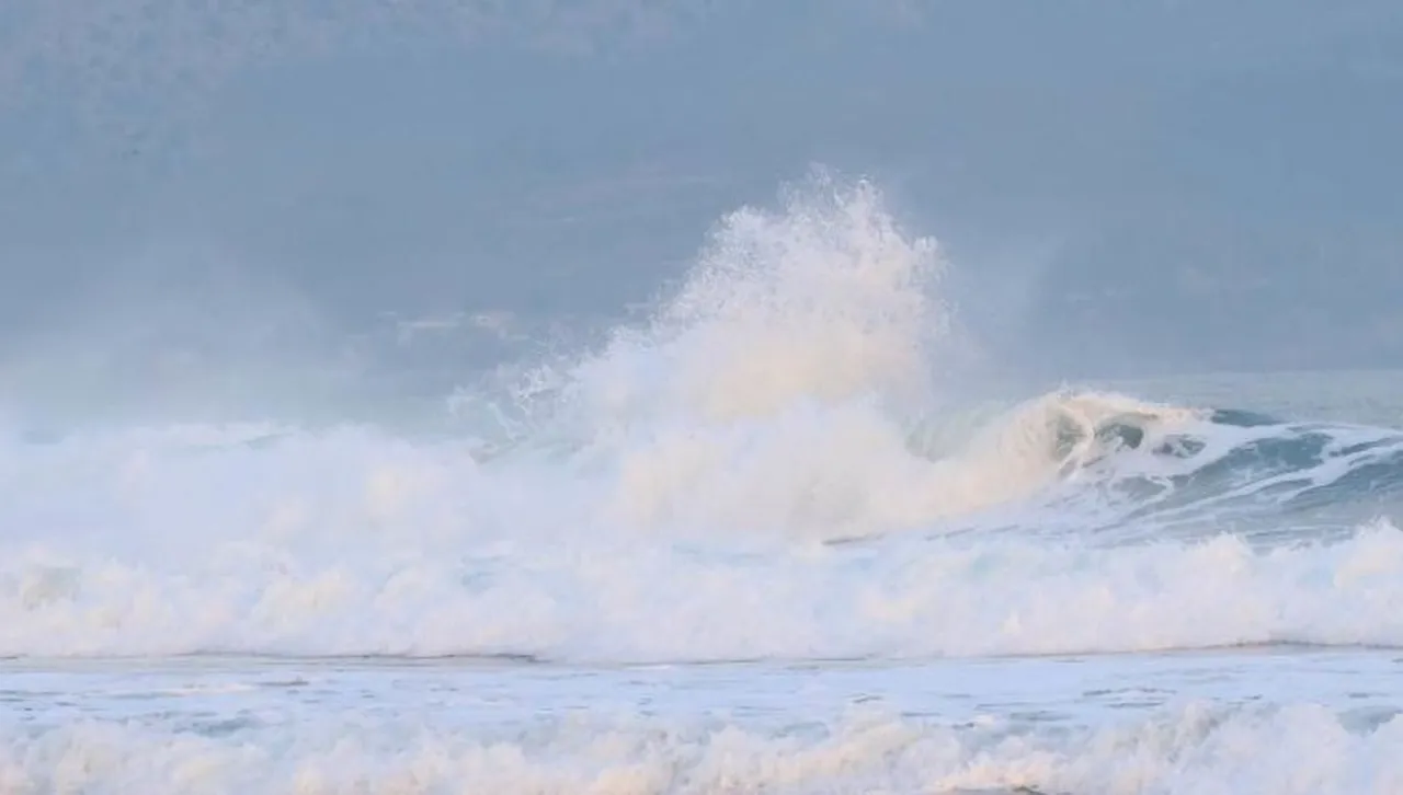 След мощния трус край Русия: Евакуации в Япония и Хавай - приближаващо цунами 