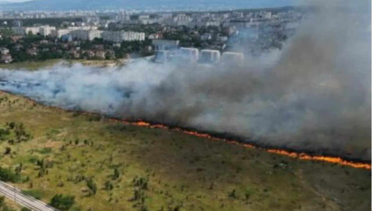 Огромен пожар избухна до блоковете в столичния кв. "Люлин", пристигнаха пожарни екипи