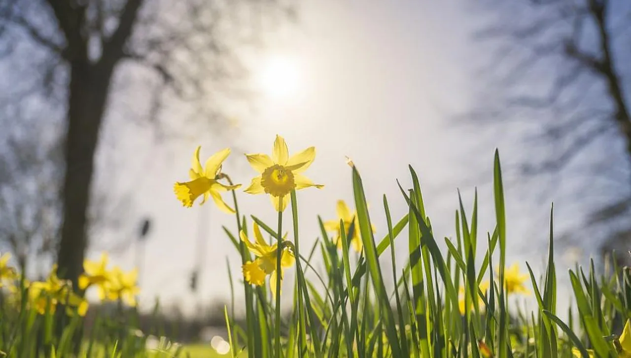 Слънчева и топла събота, купеста облачност в планините