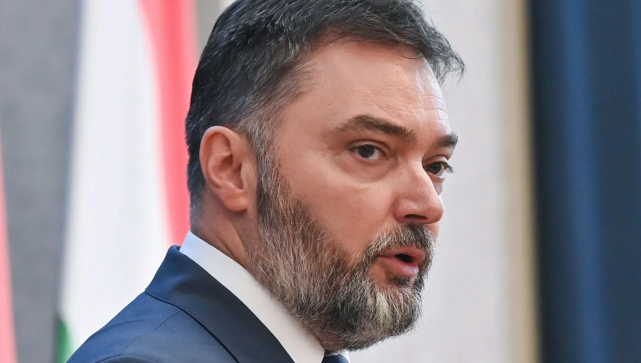 Министър от РС изпрати нацистка каска на международния представител Кристиан Шмид