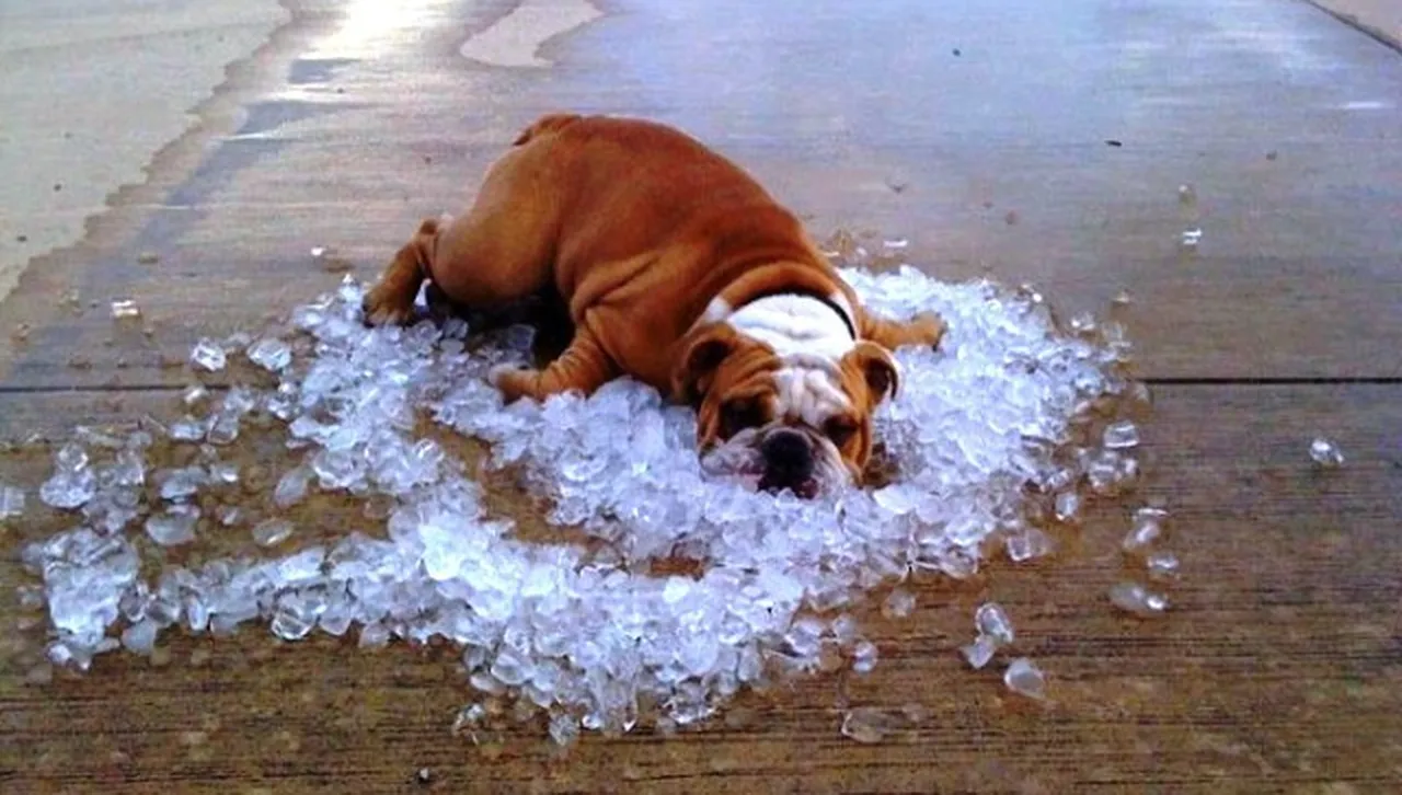 В Мадрид изграждат навеси, където туристите се спасяват от високите температури