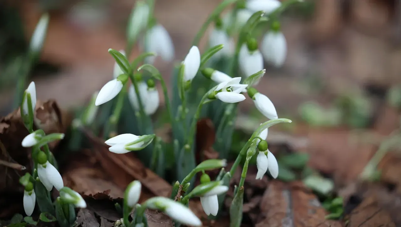 В югоизточната част на страната ще има и гръмотевици Преобладаващите