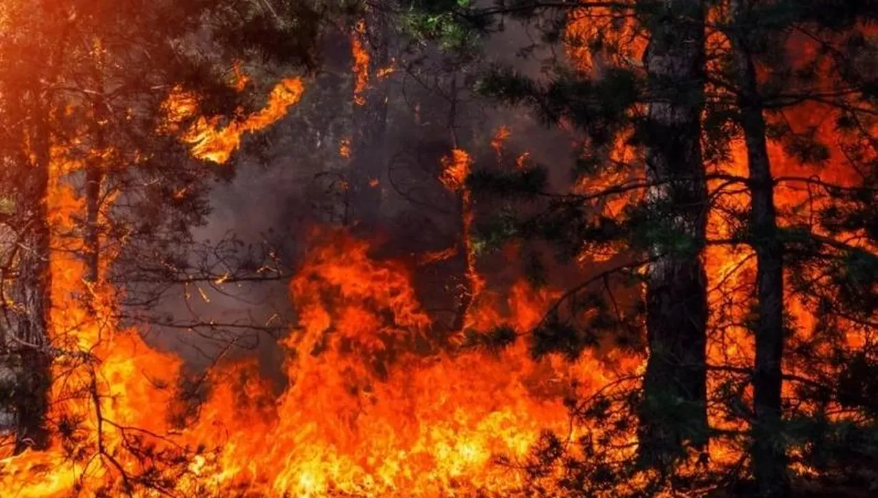 Огнен ад край Лясковец