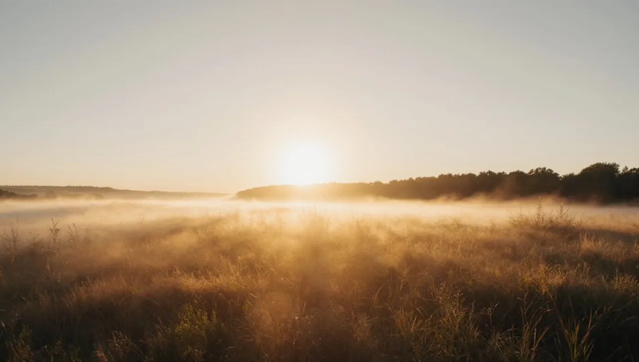Времето на 14 декември ще бъде меко за сезона Сутрешни