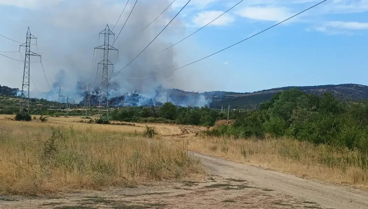 Пожар гори в гора край Сливница, активиран е BG-ALERT 