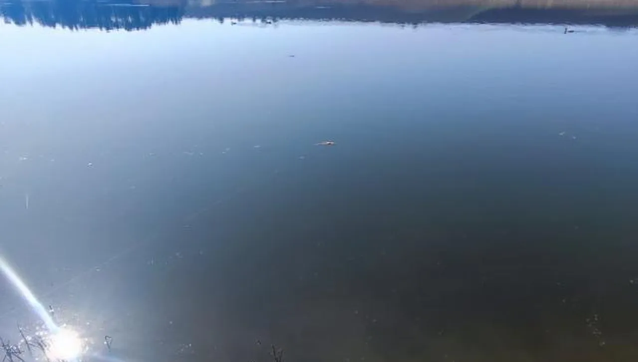 Мистериозна тръба бълва отрова, изби рибата в язовир "Дибич"