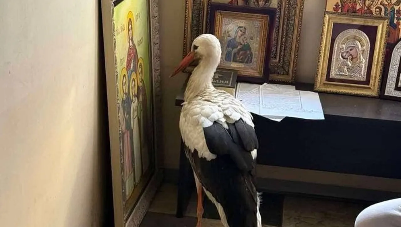 Спасителите го намерили вторачен в иконата на София Вяра Надежда