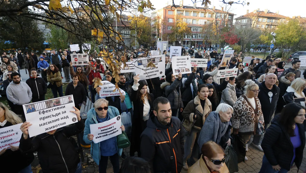 "Те нямат глас, но имат нас": Стотици граждани протестираха срещу жестокостта над животните