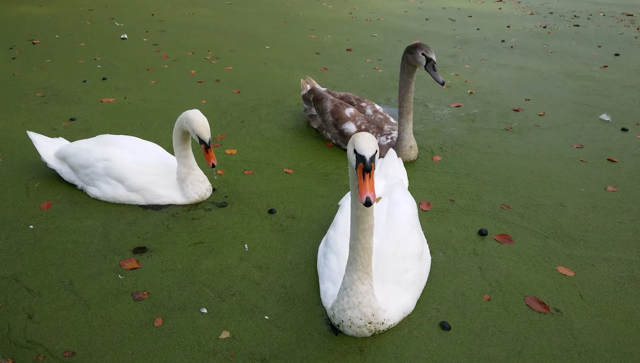 "Бонус лято": Температури до 23° в петък, но какво време ни чака за Задушница?