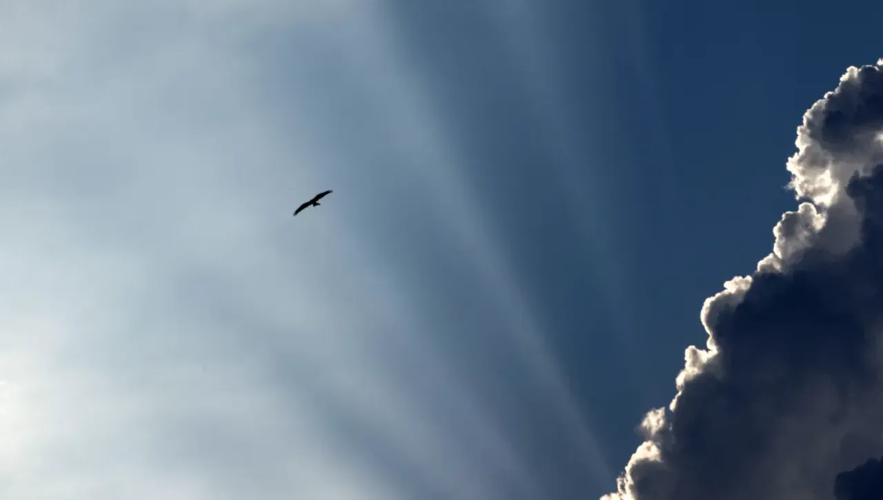 Облачно над страната, дъждовете започват по-късно от югозапад