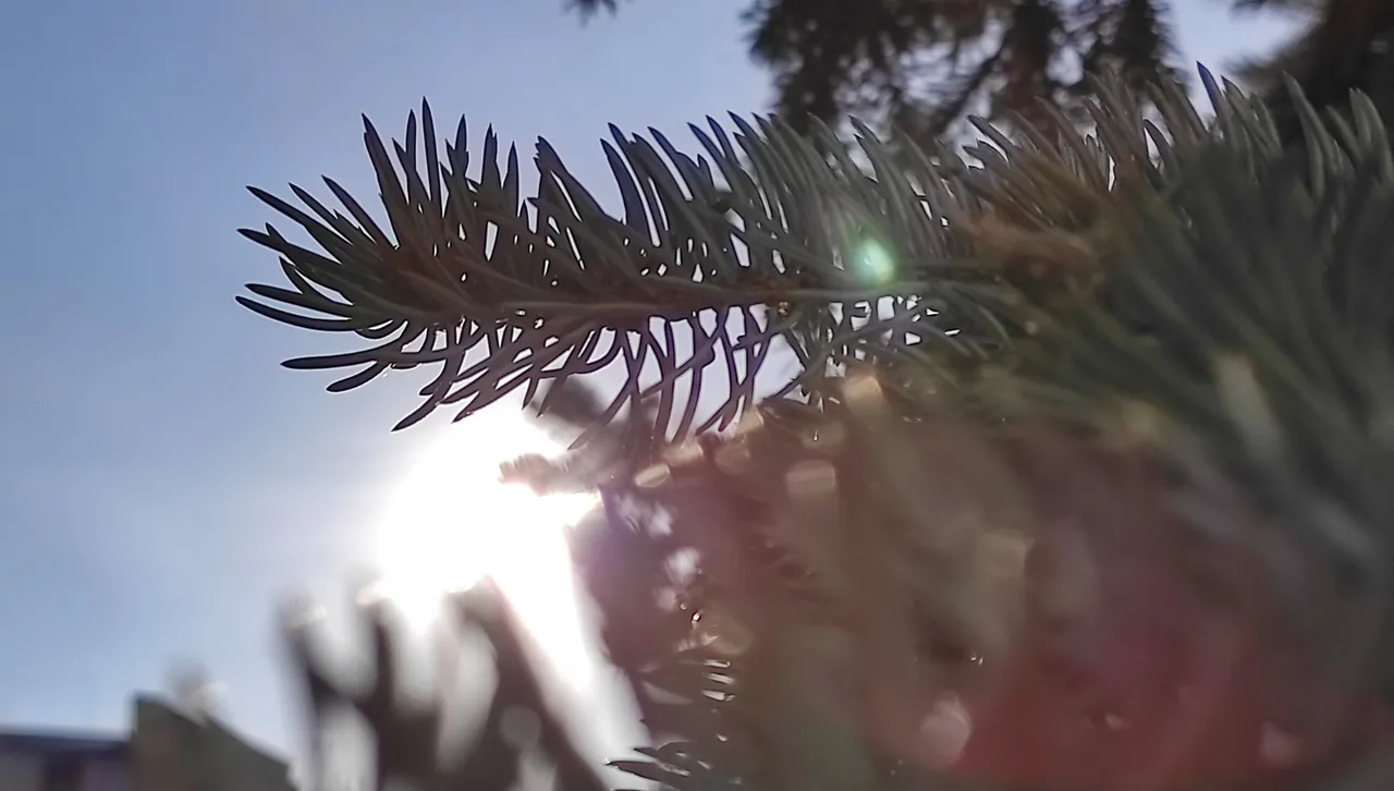 Дневните температури ще започнат да падат максимални между 3° и