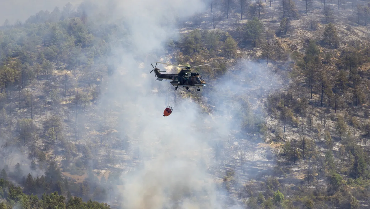 Пожар гори край Сунгурларе