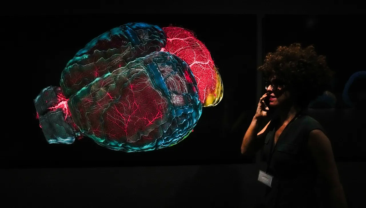 Защо самите ние си пречим - как мозъкът поражда самосаботажа?