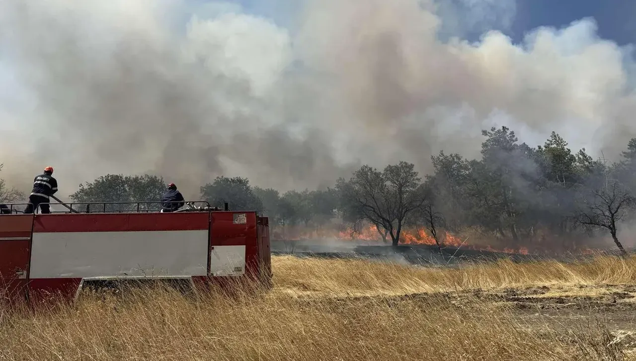 Описват щетите в Българово: Пламъците погълнаха 4 хиляди дка общинска собственост