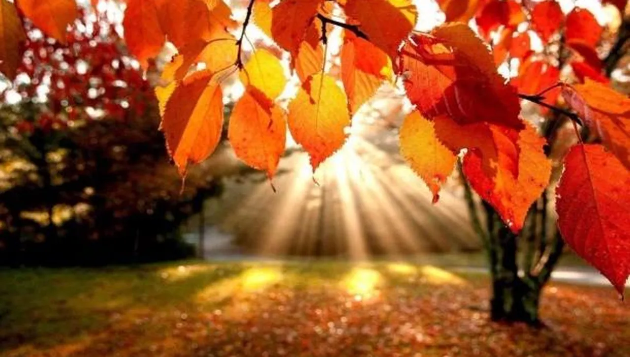 Настъпва есенното равноденствие, идва астрономическата есен