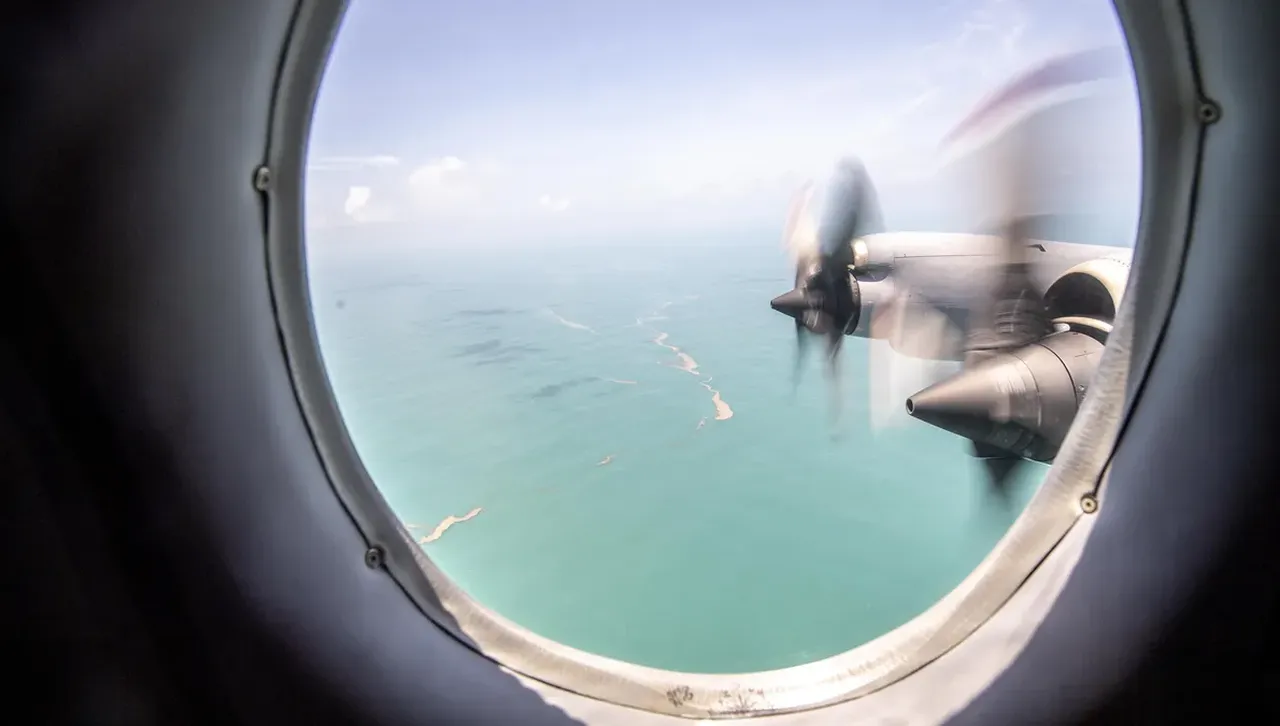 WSJ: След демонстрация на Китай, Нова Зеландия се зае сериозно с военната си отбрана