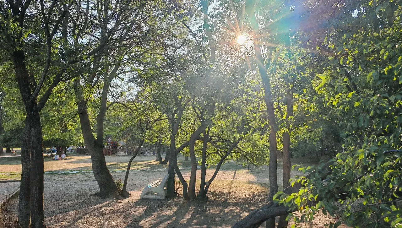 Топъл августовски ден с лек ветрец: Хубав и за планина и за плаж