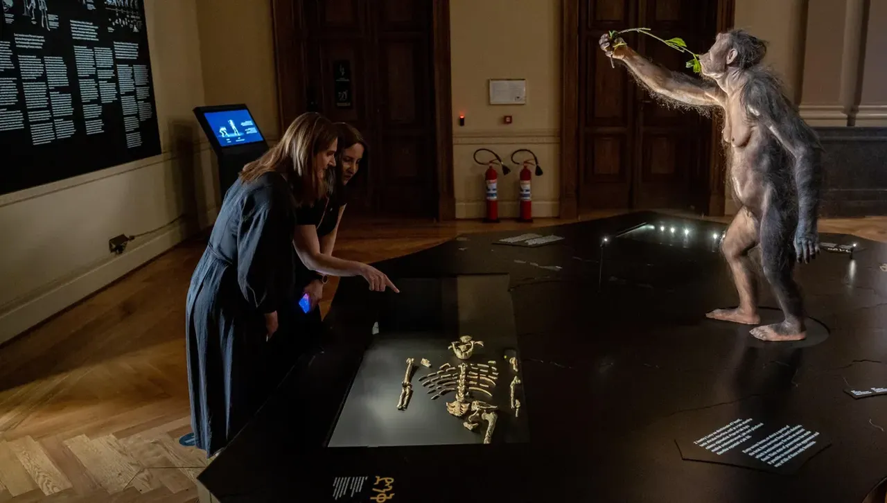 Костите на човешкия предшественик Луси са изложени за първи път в Европа