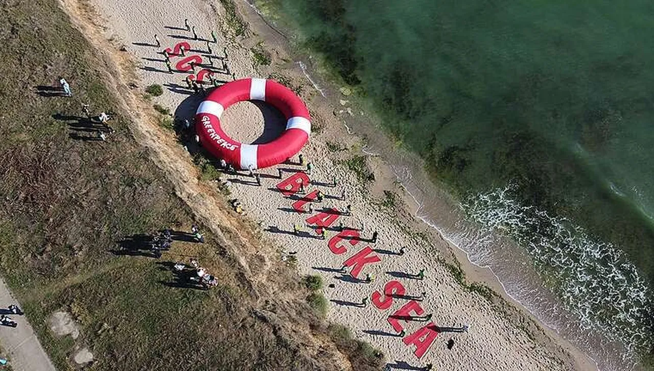 Българският и румънският „Грийнпийс“ се възправиха срещу сондажите на нефт в Черно море