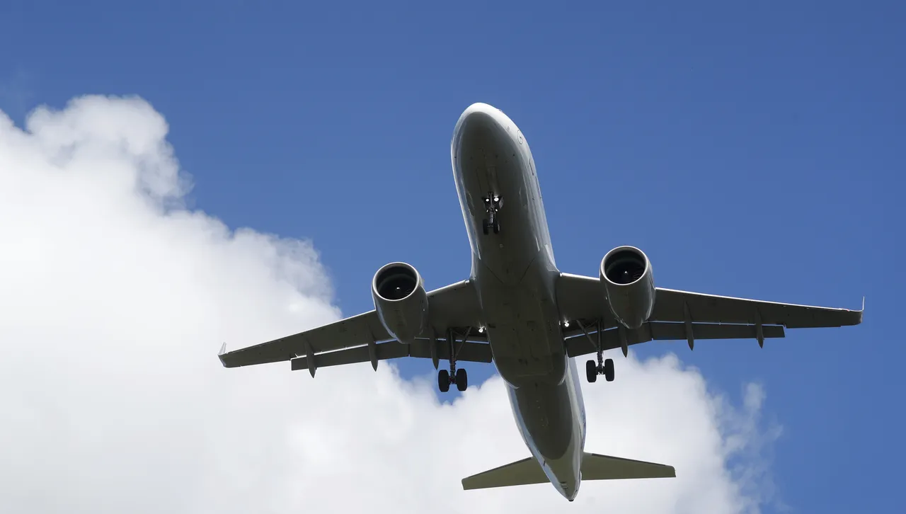 Съдът на ЕС: Изгубено от авиокомпания куче трябва да се възприема като изгубен багаж