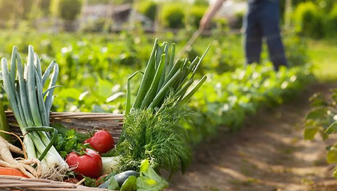 В 6 областни града разясняват директните плащания на срещи със земеделците 