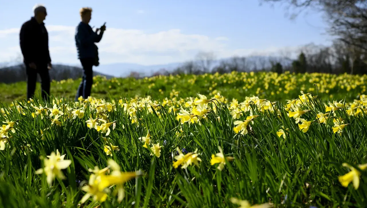 Слънчево почти навсякъде, до обед мъглите в низините се разсейват 
